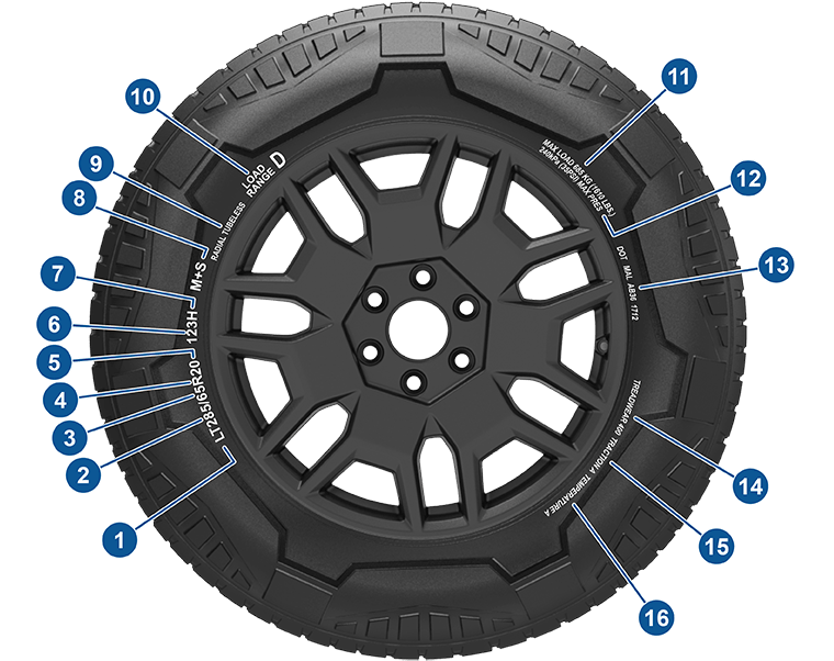Расположение данных на боковине шины