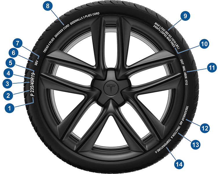 Расположение данных на боковине шины