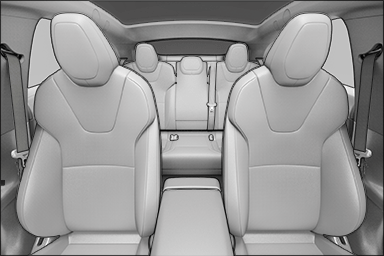 Пример вида с камеры, когда включена опция «Allow Cabin Camera Analytics»