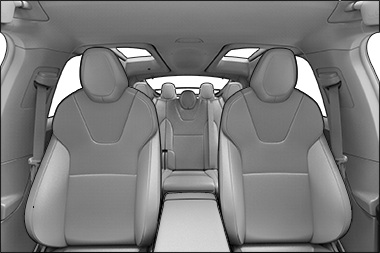 Пример вида с камеры, когда включена функция 'Аналитика с камеры салона'