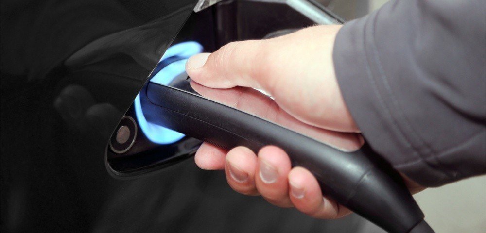 Electric Motors Club: 15 бесплатных электрозаправок открыто в Санкт-Петербурге и Ленобласти