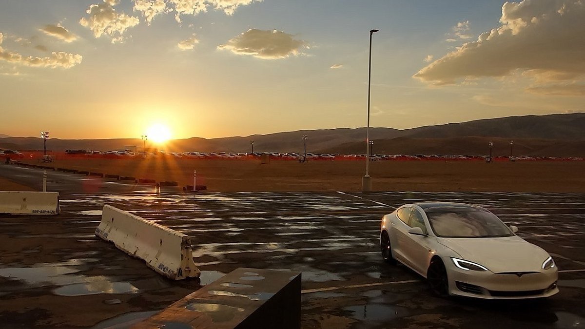 Автобус и грузовик Tesla будут представлены в течение 6-9 месяцев и поступят в производство через 2-3 года